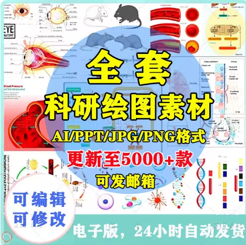 科研绘图素材医学插图细胞通路流程图科研作图ppt编辑AI生物器官-1